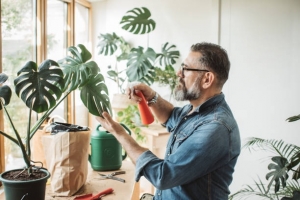 Breathe Life into Your Workspace: The Secret to Thriving with Commercial Interior Plants